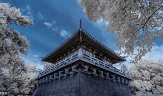 洛阳旅游景点大全景点排名榜